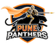 team logo